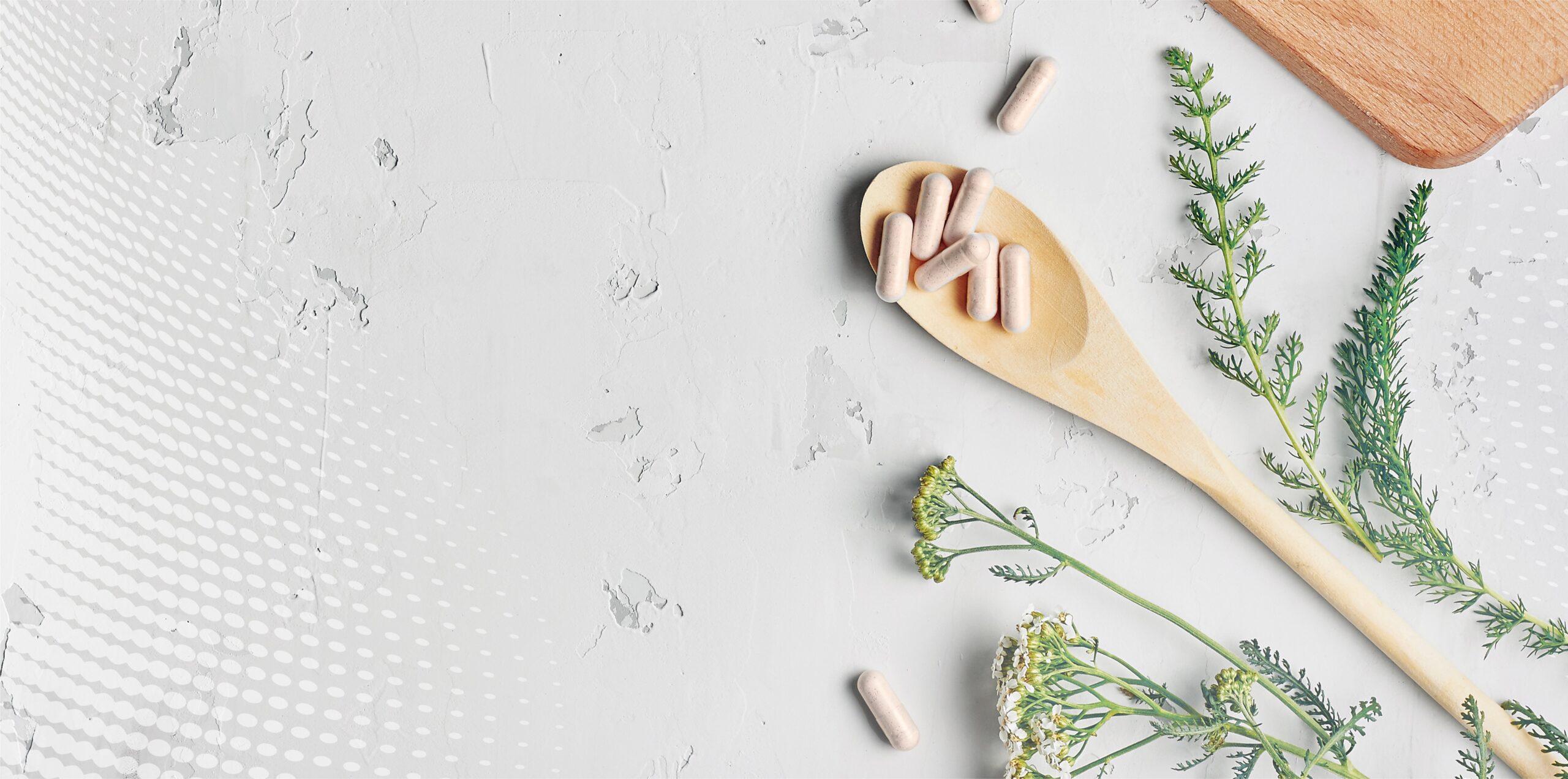 Phytotherapie